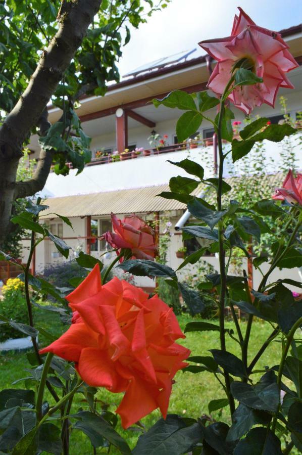 Casa Gia 호텔 코스티네스티 외부 사진